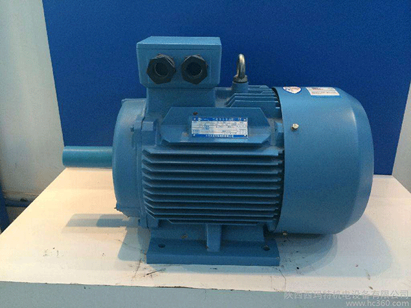 高效節(jié)能電機(jī)是西安泰富西瑪未來商業(yè)發(fā)展的方向。